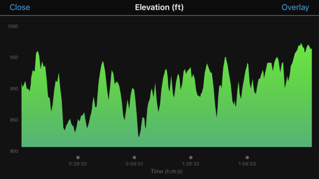 hills